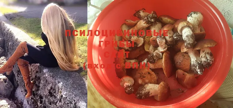 Галлюциногенные грибы Magic Shrooms  купить наркоту  Зубцов 